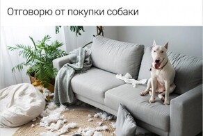 Отдельный жанр