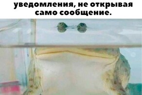 Не ищите здесь смысл. Здесь в основном маразм