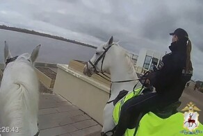 Кавалеристка МВД и трое прохожих спасли тонувшего египтянина