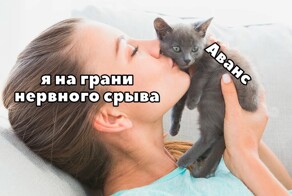 Не ищите здесь смысл. Здесь в основном маразм