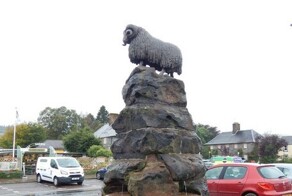 Чудесный баран Моффата с необычной анатомией