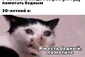 Не ищите здесь смысл. Здесь в основном маразм