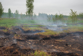 Осушение болот в СССР: ошибка, от которой Россия страдает до сих пор