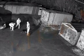 В Новосибирске сосед чуть не зарезал мужчину с щенком: его возмутило отсутствие намордника