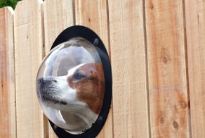 20 забавных, но полезных изобретений, которые упрощают жизнь и дарят позитив