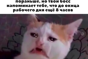 Не ищите здесь смысл. Здесь в основном маразм
