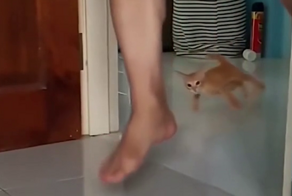 Котийский дрифт