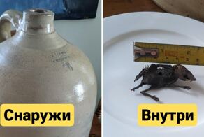 15 случаев, когда внутренности привычных объектов удивили всех