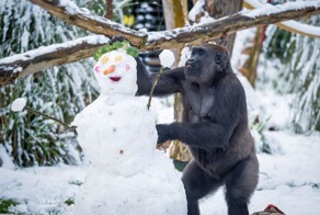 На общую тему&nbsp;