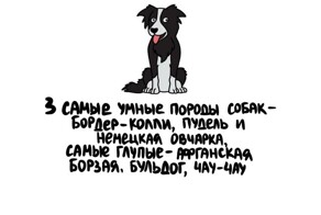 А вдруг ты не знал…