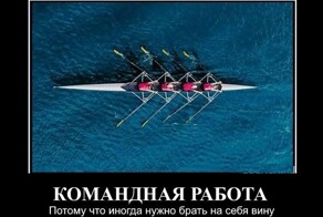 Демотиваторы для отличного настроения: «Командная работа»