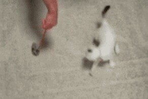 Принцип работы адронного коллайдера за 4 секунды⁠⁠