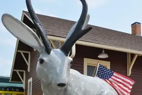 Важная достопримечательность Дугласа – всемирной столицы шакалопов