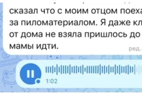 Как мужик с тестем за брусьями в деревню ездил