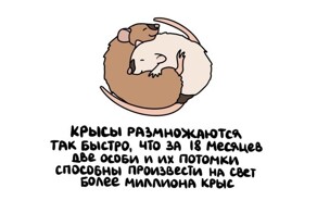 А вдруг ты не знал…