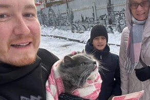 Хозяин котика-предпринимателя из Перми, который пропал, заплатил нашедшим его людям 170 тысяч рублей