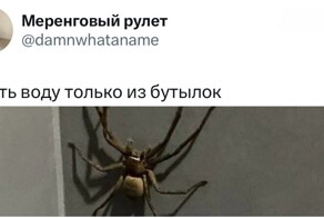 Привычки и правила безопасности, без которых приезжим в Азии сложно выжить