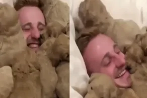 Щенки - это радость