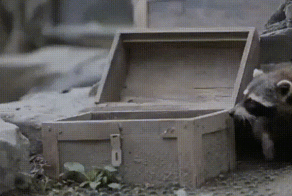 Гифки, просто гифки