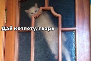 Скрины из соцсетей            