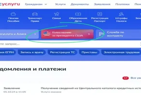 "Это мошенничество!":американцы поверили в то, что русские голосовали за Трампа через Госуслуги, и требуют отменить результаты выборов