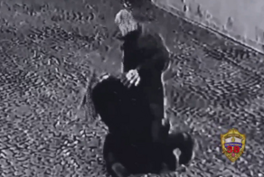 В центре Москвы грабитель напал на девушку и поплатился