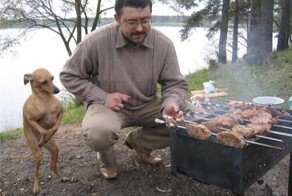 20 чудных животных, действия которых нам не дано понять