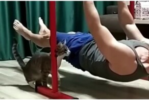 Пушистый утяжелитель