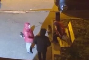 В Подмосковье мужчина ударил пенсионерку, подкармливающую животных