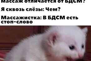 Смешные картинки