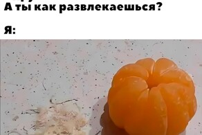 Не ищите здесь смысл. Здесь в основном маразм