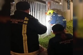 Дети спасли птицу, которая погибала в трубе