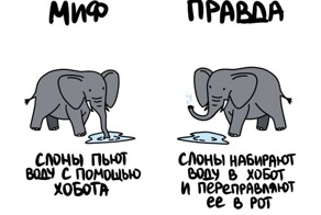 А вдруг ты не знал…