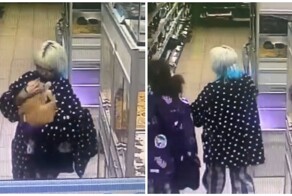 Подростки украли кота из зоомагазина в Москве