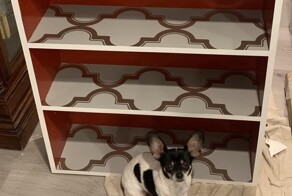 19 умельцев, чьи бережливость и смекалка нашли своё применение в быту