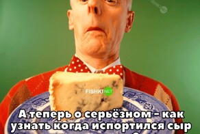 Смешные картинки