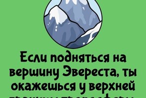А вдруг ты не знал…