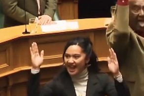 Необычная форма протеста у депутатов парламента Новой Зеландии