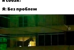 Смешные картинки