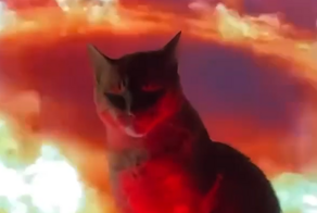 Хотел попасть домой, а попал в фильм ужасов