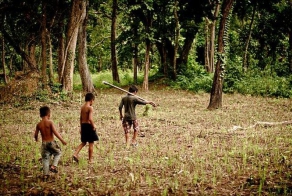 Что на десерт у детишек из Камбоджии (14 фото)