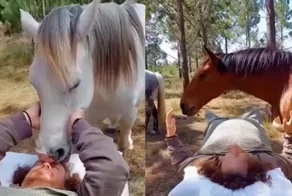 Лошадиная терапия — новый способ получить релакс