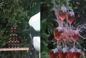 Инженер создал самый мощный водный пистолет, который стреляет льдом