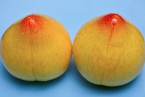 25 малоизвестных фактов о груди, которые должен знать каждый