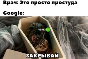 Смешные картинки