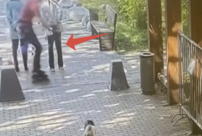 Роллер, насмерть сбивший пенсионерку, получил год тюрьмы