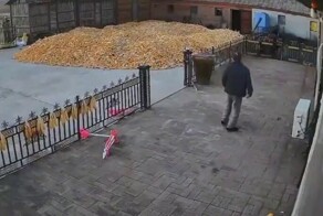 Дедушка чудом остался жив после встречи с тигром