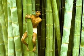 17 запутанных изображений, к которым нужно приглядеться повнимательнее