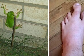 15 фотографий, которые повергнут вас в ступор