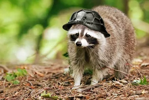 Еноты-нацисты захватили немецкий город